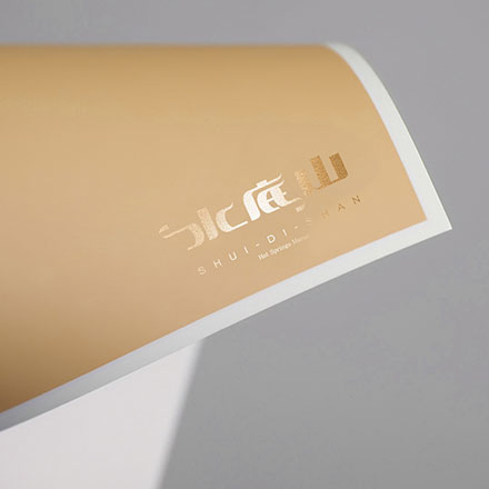 意大利女表的 vi設(shè)計(jì)公司