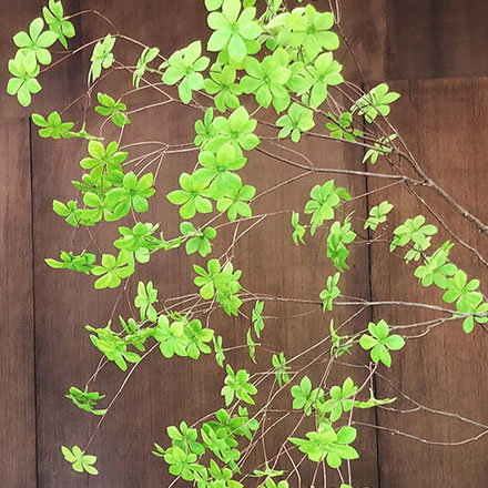 深圳logo設(shè)計作品案例展示