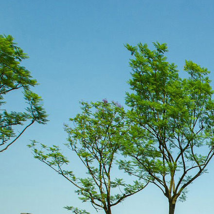 斐樂是哪個(gè)國家的品牌vi設(shè)計(jì)公司案例作品