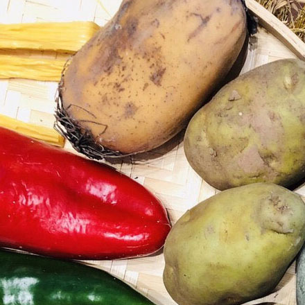 深圳logo設(shè)計作品案例展示