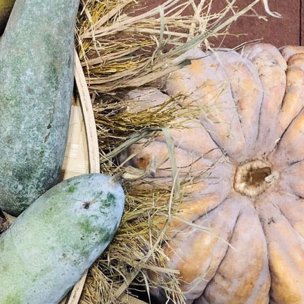 深圳vi設(shè)計(jì)作品案例展示