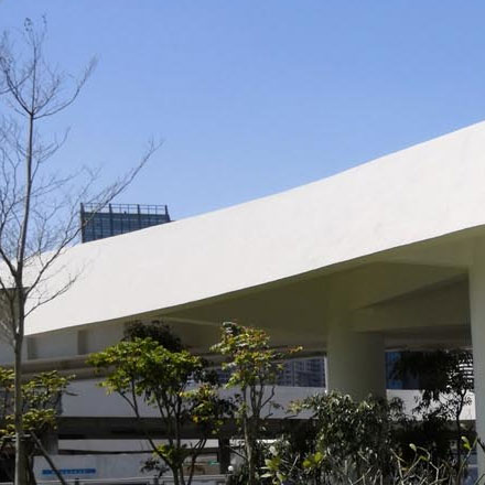 美國駱駝logo設(shè)計(jì)理念