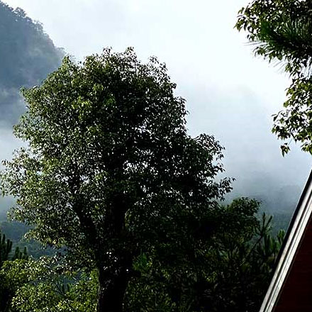 VI公司作品案例展示