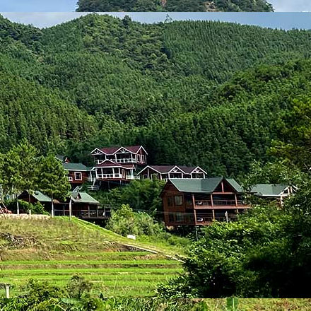 深圳標(biāo)志設(shè)計作品案例展示