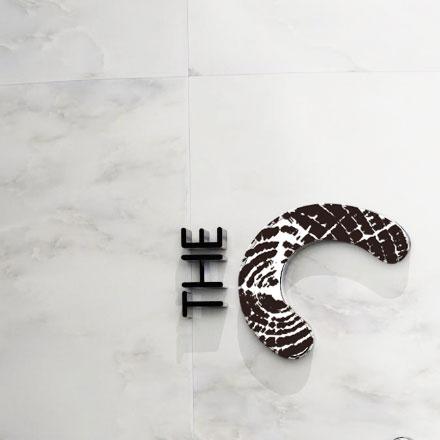 VI公司作品案例展示